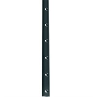 Ronstan Serie 19 mastskena 3 m